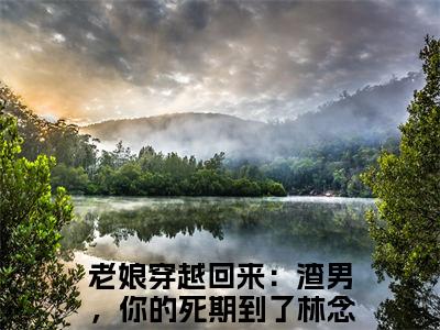 高赞热文老娘穿越回来：渣男，你的死期到了林念蕴完整版阅读-老娘穿越回来：渣男，你的死期到了林念蕴爆款免费小说阅读无弹窗