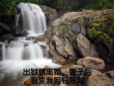 出狱就离婚，妻子后悔求我回归陈鸿（出狱就离婚，妻子后悔求我回归陈鸿）全文免费阅读无弹窗大结局_出狱就离婚，妻子后悔求我回归陈鸿最新章节列表（出狱就离婚，妻子后悔求我回归陈鸿）