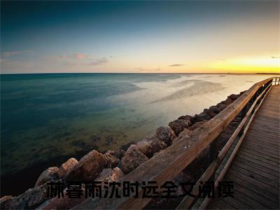 （后续）+（全文）（暮色里的告白）林暮雨沈时远精彩小说-暮色里的告白全章节免费阅读