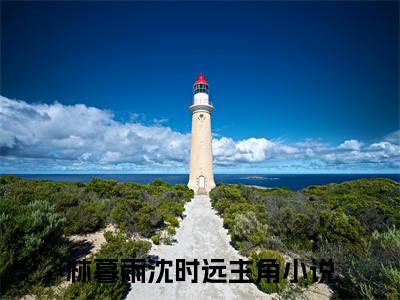 暮色里的告白（林暮雨沈时远）全文免费阅读无弹窗大结局_（林暮雨沈时远）免费阅读无弹窗最新章节列表