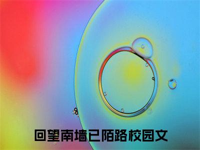 回望南墙已陌路小说-《顾昭闻沈云嫣》完整章节阅读无弹窗免费阅读大结局