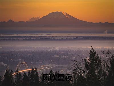 陈辞一许言诺全文免费阅读无弹窗-（风吹夏夜）陈辞一许言诺最新章节列表在线阅读