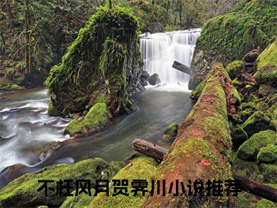 不枉风月贺霁川无弹窗最新章节列表_笔趣阁