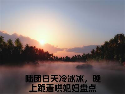沈妍陆寻小说最新试读_陆团白天冷冰冰，晚上跪着哄媳妇是（沈妍陆寻全文完整版免费阅读）_笔趣阁