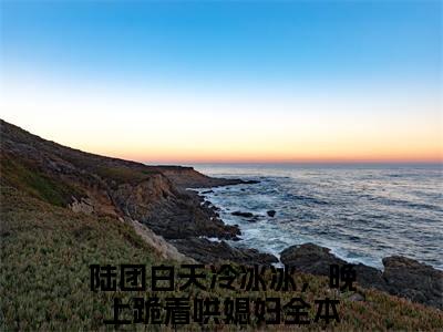 陆团白天冷冰冰，晚上跪着哄媳妇（沈妍陆寻）全文免费阅读无弹窗大结局_陆团白天冷冰冰，晚上跪着哄媳妇免费阅读无弹窗最新章节列表_笔趣阁