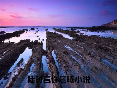 陆时言许晨曦精选小说大结局阅读-最新小说(陆时言许晨曦)全文阅读