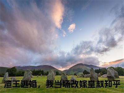 渣王逃婚，我当场改嫁皇叔小说（苏月婵萧玉珩）全文免费阅读无弹窗大结局_苏月婵萧玉珩小说最新章节_笔趣阁（渣王逃婚，我当场改嫁皇叔）