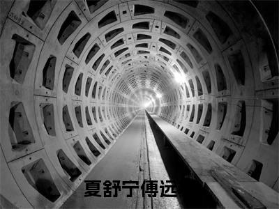 夏舒宁傅远寒(夏舒宁傅远寒)全文免费阅读无弹窗大结局_夏舒宁傅远寒全文阅读_笔趣阁（夏舒宁傅远寒）