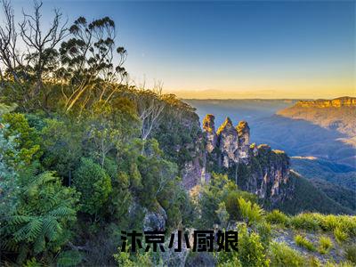 李巍周轻言精选热门好书-李巍周轻言（汴京小厨娘）全文无删减版在线阅读
