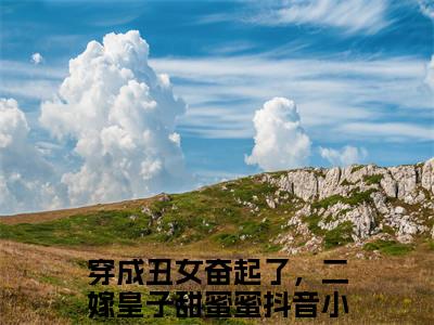 穿成丑女奋起了，二嫁皇子甜蜜蜜小说在线阅读全文无弹窗大结局_慕容轩林悦小说免费最新章节列表