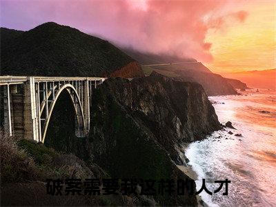 小说破案需要我这样的人才全文免费阅读无弹窗大结局-凌无忧时垣破案需要我这样的人才免费阅读大结局
