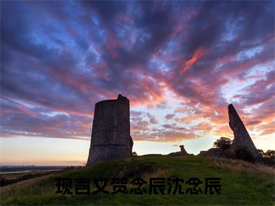 贺念辰沈念辰小说心似檐下雨完整版阅读心似檐下雨全文在线赏析