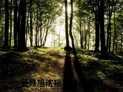 裴修旭沈摇梦小说-裴修旭沈摇梦全文免费阅读