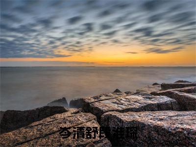 岑清舒段淮琛小说（岑清舒段淮琛最新全章节大结局）岑清舒段淮琛全文阅读
