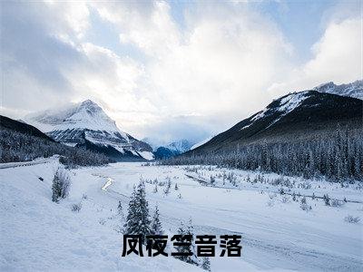 凤神浴火忘相思（凤夜竺音落）小说全文免费阅读无弹窗-凤神浴火忘相思全章节在线阅读（凤夜竺音落免费+后续）
