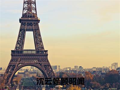 回望南墙已陌路（沈云嫣顾昭闻）全文免费阅读无弹窗大结局_回望南墙已陌路（沈云嫣顾昭闻）最新章节列表