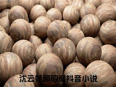 《回望南墙已陌路》无弹窗大结局-（沈云嫣顾昭闻）无弹窗阅读最新章节列表_笔趣阁
