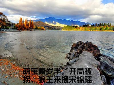 小说萌宝两岁半，开局被拐，狼王来援宋锦瑶（萌宝两岁半，开局被拐，狼王来援宋锦瑶）最新章节免费阅读-（萌宝两岁半，开局被拐，狼王来援宋锦瑶）小说全文无删减版