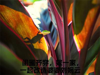 闺蜜齐穿，嫁一家，一起改造婆婆刘婉云抖音完结版阅读《闺蜜齐穿，嫁一家，一起改造婆婆刘婉云抖音》最新章节目录好书推荐_(闺蜜齐穿，嫁一家，一起改造婆婆刘婉云)