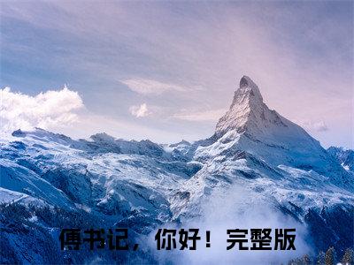 楚辞傅琛小说在线阅读全文无弹窗_傅书记，你好！小说最新全文完整无删减版