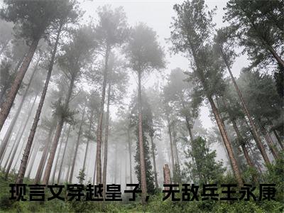 穿越皇子，无敌兵王永康小说好看吗 穿越皇子，无敌兵王永康热门推荐小说（穿越皇子，无敌兵王永康）全章节阅读_笔趣阁