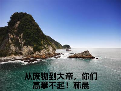 从废物到大帝，你们高攀不起！林晨免费阅读大结局无弹窗-小说推荐从废物到大帝，你们高攀不起！林晨精彩章节在线阅读