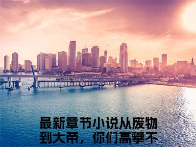 小说推荐从废物到大帝，你们高攀不起！林晨精彩章节全文阅读-（从废物到大帝，你们高攀不起！林晨）新书热荐免费小说