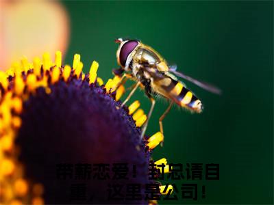 江盼封隽奕全文免费阅读无弹窗大结局_（带薪恋爱！封总请自重，这里是公司！）江盼封隽奕热门章节在线阅读笔趣阁（带薪恋爱！封总请自重，这里是公司！）