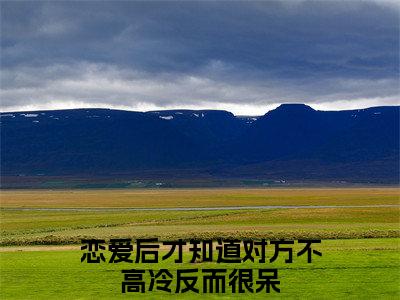 恋爱后才知道对方不高冷反而很呆小说免费阅读蓝田夏青完整版全文大结局
