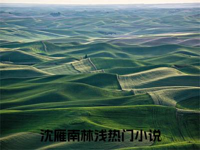沈雁南林浅全文免费阅读_（如此，她就再拼一次免费阅读无弹窗）沈雁南林浅最新章节在线阅读笔趣阁