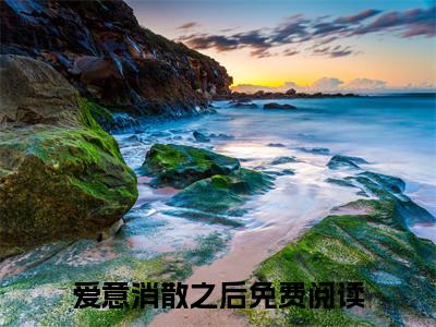 爱意消散之后（顾知年沈竹心）小说全文在线阅读_爱意消散之后最新章节在线阅读_笔趣阁