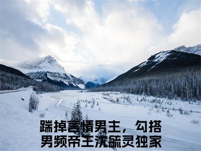 高赞小说（踹掉言情男主，勾搭男频帝王沈毓灵小说免费阅读）完结阅读，踹掉言情男主，勾搭男频帝王沈毓灵在线阅读