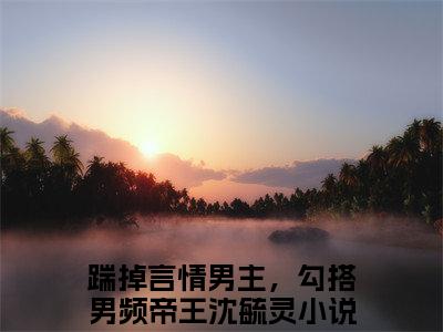 踹掉言情男主，勾搭男频帝王沈毓灵（踹掉言情男主，勾搭男频帝王沈毓灵）全文免费阅读无弹窗大结局_踹掉言情男主，勾搭男频帝王沈毓灵最新章节列表_笔趣阁（踹掉言情男主，勾搭男频帝王沈毓灵）