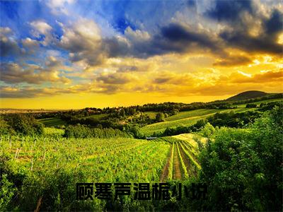 顾寒声温栀全文免费阅读无弹窗大结局-顾寒声温栀 全文全章节免费阅读
