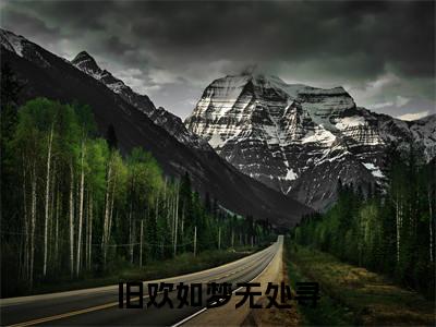 初夏傅深（旧欢如梦无处寻）全文免费阅读无弹窗大结局-旧欢如梦无处寻（初夏傅深）小说全文免费阅读最新章节列表