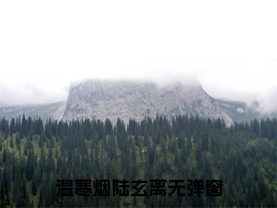 温寒烟陆玄离的小说全文免费阅读无弹窗，春花不渡西风泪的小说在线免费阅读大结局（春花不渡西风泪）