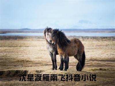 沈星渡雁南飞（沈星渡雁南飞）在哪免费看-小说(沈星渡雁南飞)全文完整版免费阅读