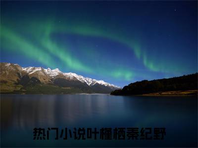 小说（叶槿栖秦纪野）免费阅读-小说（叶槿栖秦纪野）无弹窗大结局 叶槿栖秦纪野全文在线赏析最新章节列表_笔趣阁