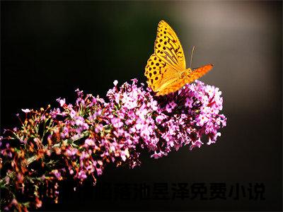 诱他深情陷落池昱泽是什么小说 诱他深情陷落池昱泽正版小说免费阅读_笔趣阁