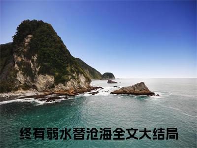 终有弱水替沧海（洛清栀祁衔洲）全文免费阅读无弹窗大结局_（终有弱水替沧海免费阅读全文大结局）最新章节列表