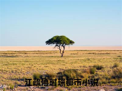 江疏傅时琛全文免费阅读-小说江疏傅时琛大结