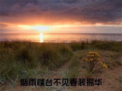 烟雨楼台不见春裴振华小说(烟雨楼台不见春裴振华)全文免费阅读无弹窗大结局_烟雨楼台不见春裴振华小说免费阅读无弹窗最新章节列表_笔趣阁
