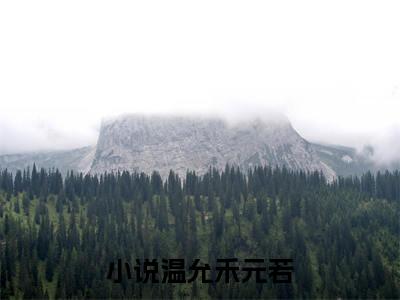 温允禾元若小说在线阅读全文无弹窗_和离后，我在逃难路上卖盒饭小说最新全文完整无删减版