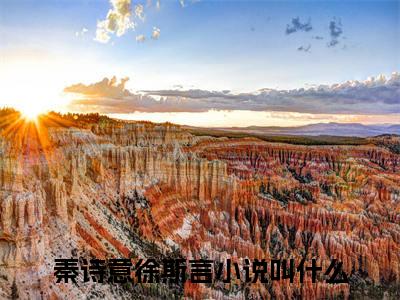 热文（秦诗意徐斯言）美文阅读_热门小说主人公是（秦诗意徐斯言）最新章节限时观看_笔趣阁