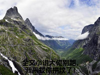 江愿顾清衍（大佬别跑，我来找你拼坟了！）全文免费阅读无弹窗_江愿顾清衍:大佬别跑，我来找你拼坟了！最新小说_笔趣阁