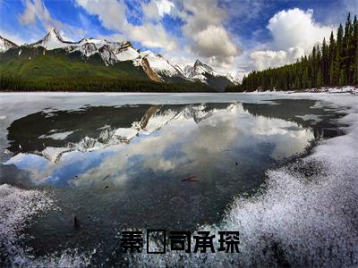 秦婳司承琛最新章节（秦婳司承琛免费阅读）-秦婳司承琛小说在线阅读完整版