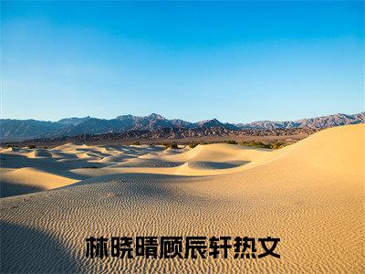 繁华中相遇小说全文免费阅读-（林晓晴顾辰轩）繁华中相遇精选小说大结局阅读