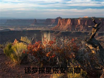 逐梦探星辰安丽娜（逐梦探星辰安丽娜）全文免费阅读无弹窗大结局_逐梦探星辰安丽娜完整版小说阅读