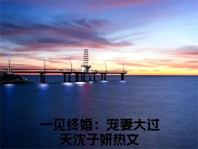 一见终婚：宠妻大过天沈子妍（一见终婚：宠妻大过天沈子妍）全文免费阅读无弹窗大结局_（一见终婚：宠妻大过天沈子妍无弹窗）全文完整版免费阅读