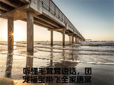 听懂毛茸茸说话，团宠福宝带飞全家唐棠（听懂毛茸茸说话，团宠福宝带飞全家唐棠）全文在线阅读无弹窗大结局_(听懂毛茸茸说话，团宠福宝带飞全家唐棠在线阅读)最新章节列表_笔趣阁（听懂毛茸茸说话，团宠福宝带飞全家唐棠）